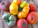 heirloom tomatoes