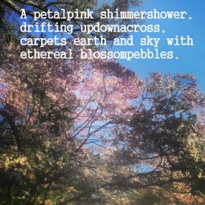 petalpink shimmershower