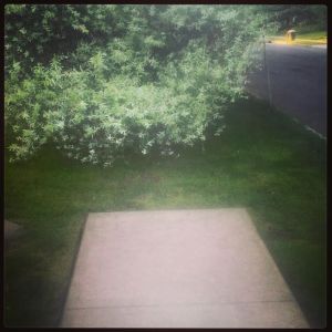 where the sidewalk ends