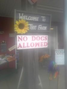 No Dogs Allowed
